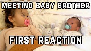 Toddler's Lovely Reaction to meeting Baby Brother! *so emotional* Our Dog's Reaction to Newborn