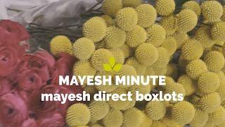 Mayesh Minute: Mayesh Direct BoxLots May 17