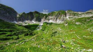 Unsere wilde Schweiz: Das Vanil Noir