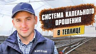 Устройство системы орошения в Демонстрационных Теплицах Киссон. Капельный полив в теплицах.