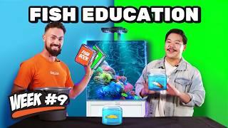 12 Week Reef | Video 9. Choosing Fish Feat. Dr Yi Kai Tea