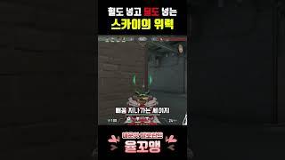 힐도 넣고 딜도 넣는 스카이의 위력