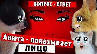 кот Малыш, котенок Мурка, кролик Баффи в рубрике ВОПРОС ОТВЕТ ! А НУ КА ДАВАЙ КА ПОКАЗЫВАЕТ ЛИЦО !