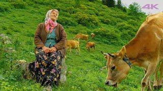 Life in the Highland - Nuriye Granny and Her Grandchildren | Documentary ▫️4K▫️