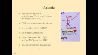 Chronic Kidney Disease - CRASH! Medical Review Series