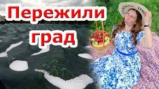 Пережили град