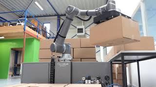 TM robot palletizer