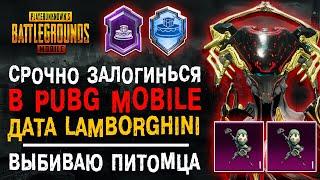 БЕСПЛАТНЫЙ ТИТУЛ ПУБГ МОБАЙЛ! ОТКРЫВАЮ НОВЫЙ КЕЙС ПАБГ МОБАЙЛ! WARFRAME PUBG MOBILE!