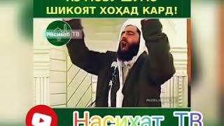 РУЗЕ МЕОЯД. КИ КУРЪОН АЗ МОВУ ШУМО ШИКОЯТ ХОХАД КАРД!