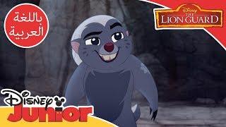 قيادة الأسد الحارس - جرير العسل