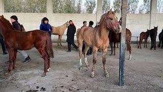 Samarqand viloyati Bulungʻir tumani Oqtepa Mol bozori