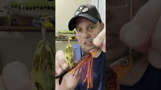 Best Spinnerbait on the Market? #fishing #bassfishing #fishingvideo