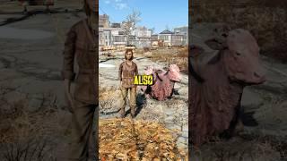 4 Animals Spying For The Institute  Fallout 4 Exploration