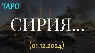 СИРИЯ... ТАРО. (01.12.2024)