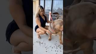 #doglife #doggielife #funnyanimal #puppy #goldenretreivers #doglove #dogmom #animallife #dogowners