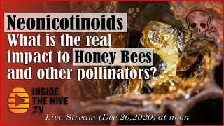 Neonicotinoids - What is the real impact to honey bees and other pollinators?