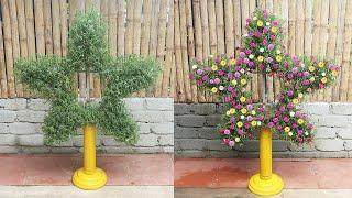 How to Make A Creative Star Garden | Gardening Ideas With Portulaca Mossrose