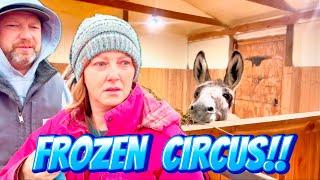 FREEZING temperatures make our ANIMALS CRAZY!