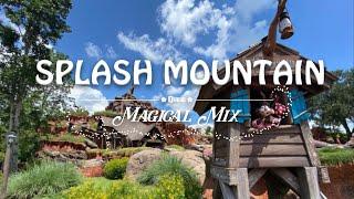 Splash Mountain Queue Music (Full Audio Loop) | Magical Mix