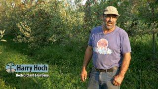 Hoch Orchard - Agroforestry Farm Tour Video Series