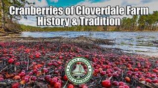 Cranberries: Ocean County History & Tradition