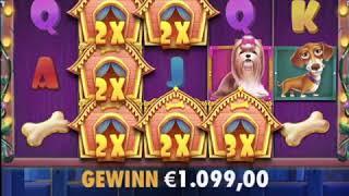 Best Win 2020 online Casino 