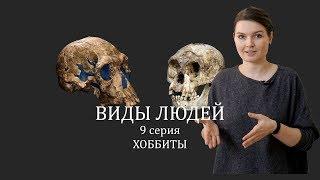 ВИДЫ ЛЮДЕЙ. 9 серия Хоббиты. Елена Сударикова