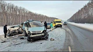 Автоледи на Тойоте погубила троих человек устроив страшное ДТП в Новосибирской области