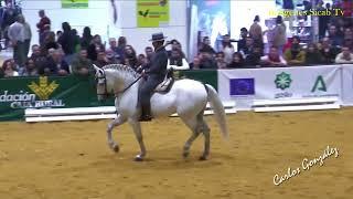 Curro Daza García & Fuego de Torreluna P  Doma