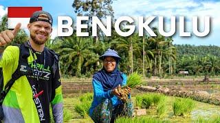 The Indonesian Village Life in Desa Suka Baru, Bengkulu, Sumatra