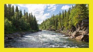 Water Stream Sound | Relaxing River Sound For Sleep