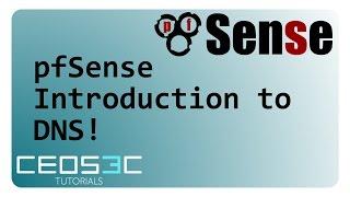 pfSense Tutorial Series - Introduction to DNS