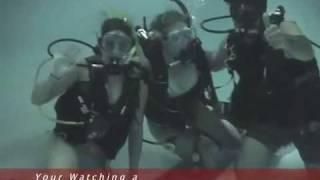 NH ALIVE!  Scuba Diving