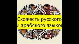 Схожие русские и арабские слова