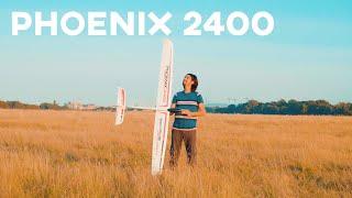 Phoenix 24000 | Planeador RC motorizado de 2,4m económico || Una excelente opción