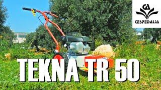 Desbrozadora TEKNA TR 50 ️ Cespedalia