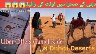 Uber driver camel ride in Dubai desert | Dubai Deserts camel ride...