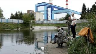 Шок! Каля Бярозаўскай ДРЭС водзяцца крэветкі.