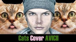 Avicii - Wake Me Up - Cats Cover