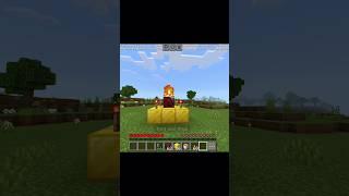 Minecraft Meme