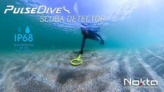 Discover Hidden Treasures Below the Surface with the PulseDive Scuba Detector!