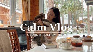 CALM VLOG: осень в лесном доме - почему мы переехали за город? 