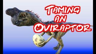 ARK for Beginners: Oviraptor Tame