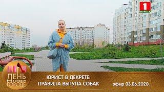 Юрист в декрете: правила выгула собак. День в большом городe 03.06.2020