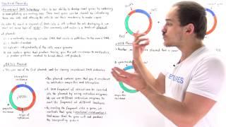 Plasmids and Recombinant DNA Technology