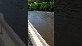 new lock system along the manayunk canal #myk #manayunk #canal #philly