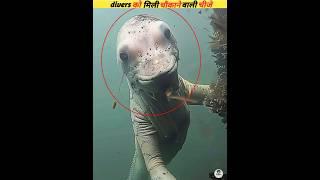 Iskuva divers found the strangest creatures in the water  #viral