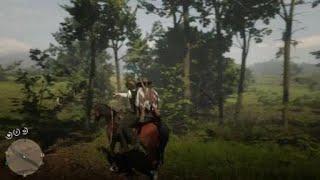 Red Dead Redemption 2_20200701213715