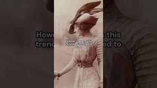 Wearable Taxidermy | The Victorian Hat Trend That Led to the Decimation of Bird Populations #history