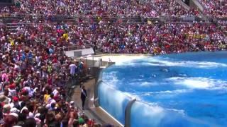 Seaworld SHAMU Killer Whale Show